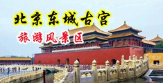 大屌男插女高潮视频中国北京-东城古宫旅游风景区